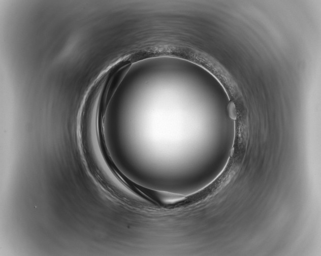 X0000087630722200705101027