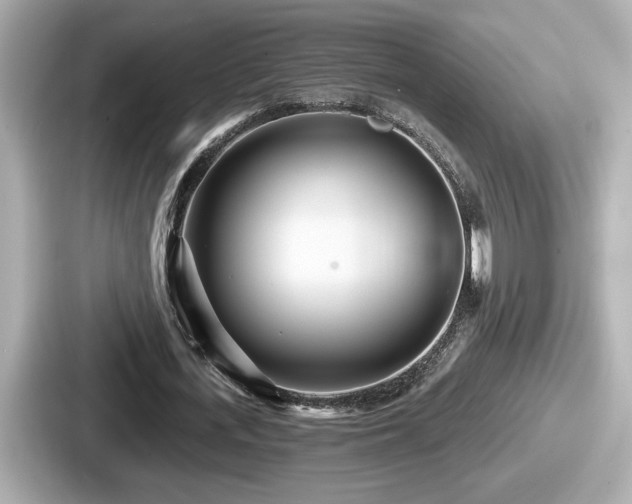 X0000087630723200705101027