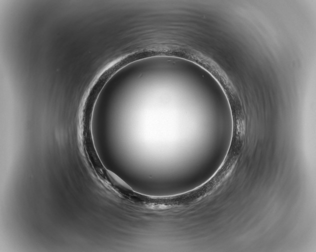 X0000087630724200705101027