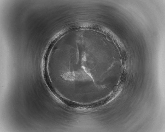 X0000087630725200705101027