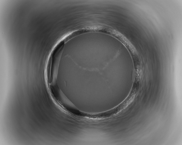 X0000087630726200705101027