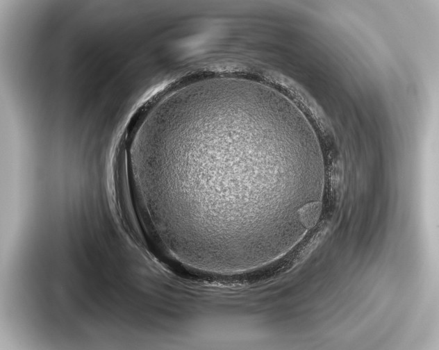 X0000087630727200705101027