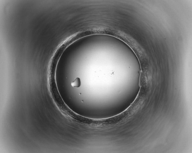 X0000087630728200705101027