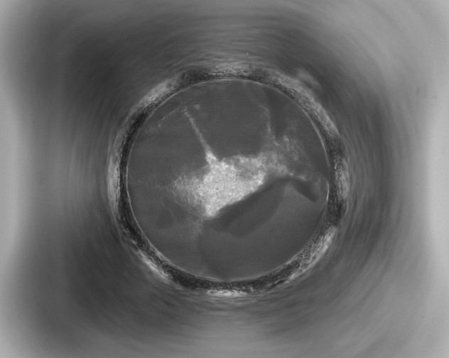 X0000087630729200705101027