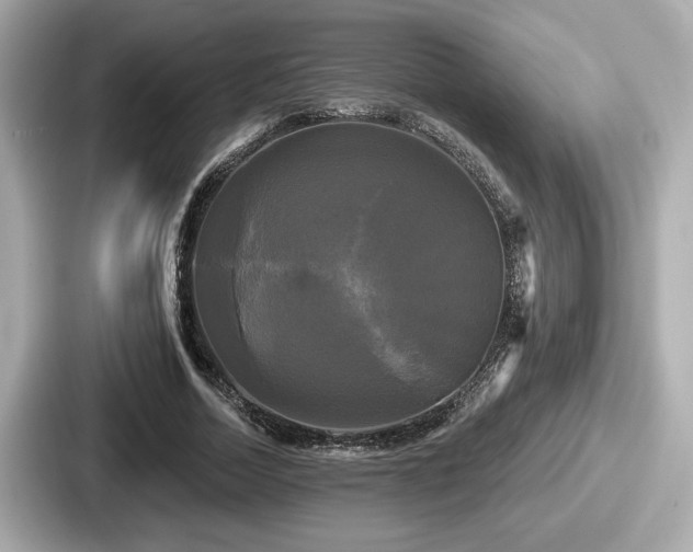 X0000087630730200705101027