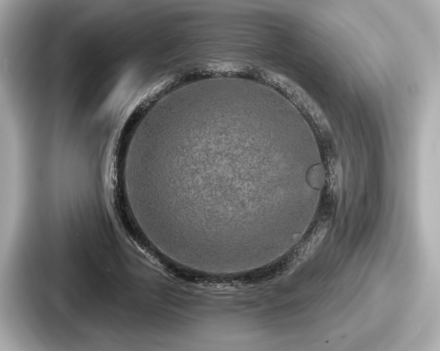 X0000087630731200705101027