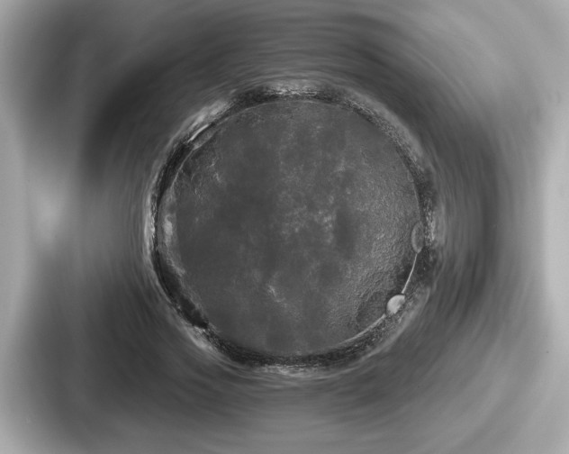 X0000087630733200705101027