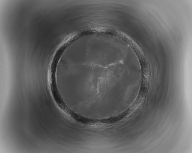 X0000087630734200705101027