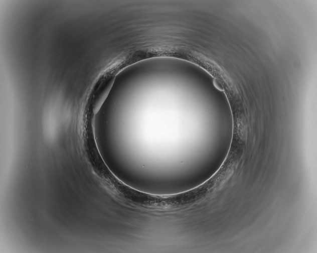 X0000087630735200705101027