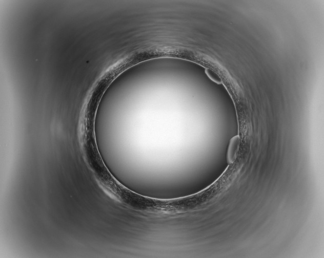 X0000087630736200705101027