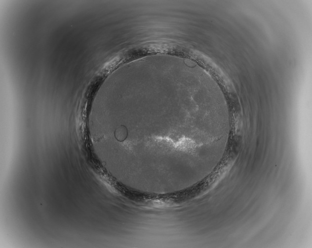 X0000087630737200705101027