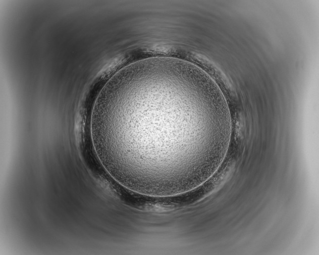 X0000087630739200705101027