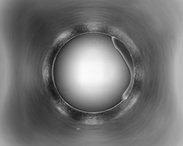 X0000087630740200705101027