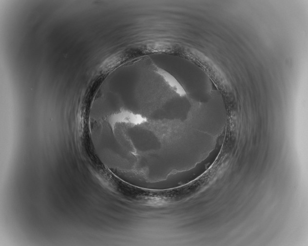 X0000087630741200705101027