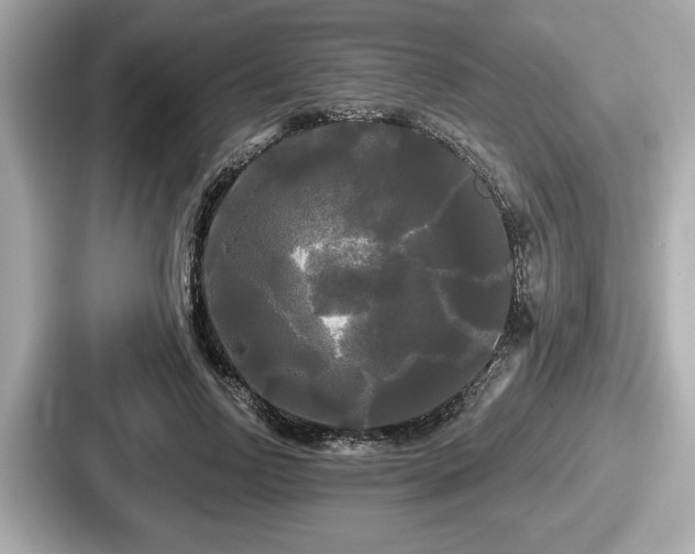 X0000087630742200705101027