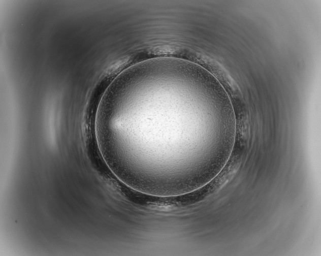 X0000087630743200705101027