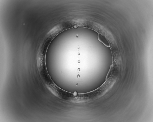 X0000087630744200705101027