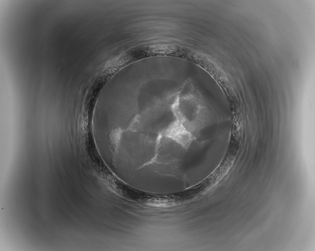 X0000087630745200705101027