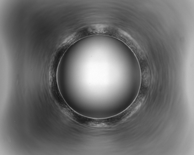 X0000087630747200705101027