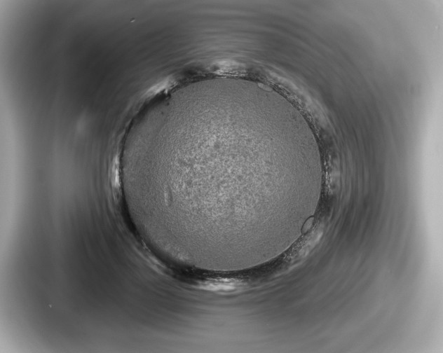 X0000087630748200705101027