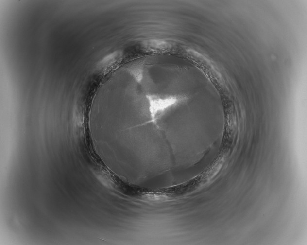 X0000087630749200705101027