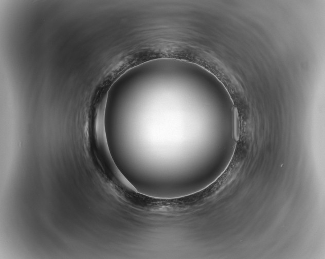 X0000087630750200705101027