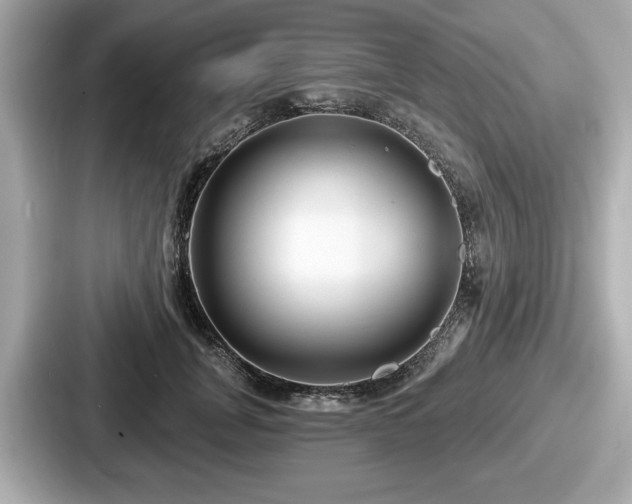 X0000087630751200705101027