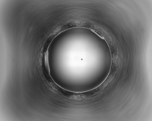 X0000087630752200705101027