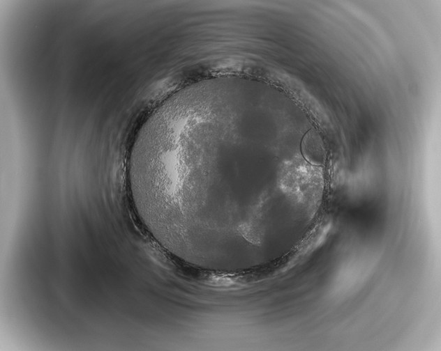 X0000087630753200705101027