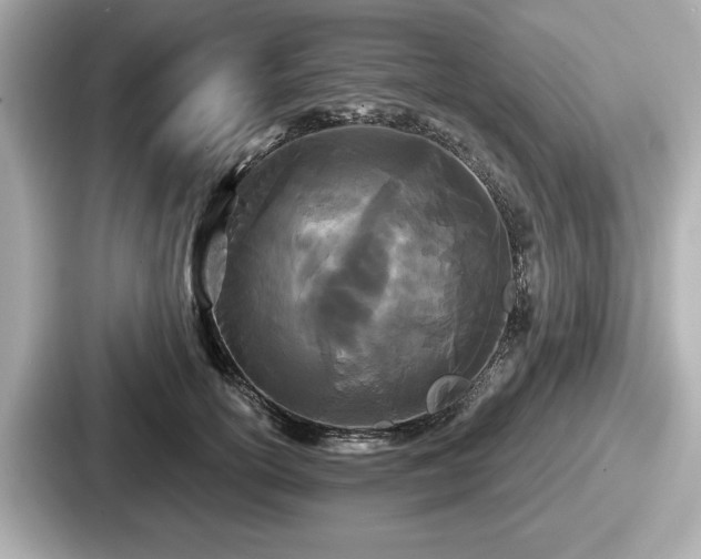 X0000087630754200705101027