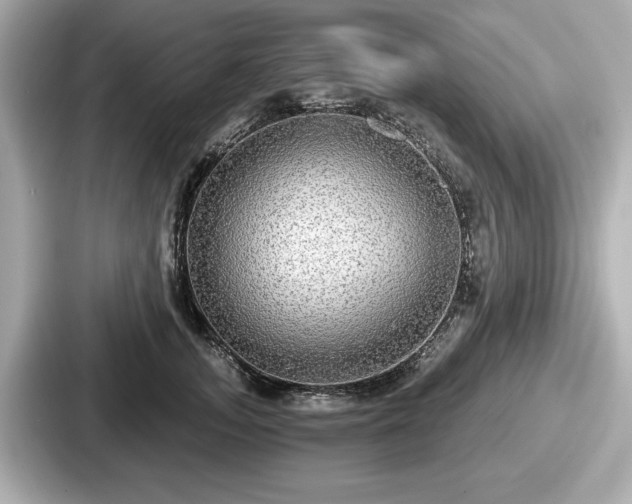 X0000087630755200705101027