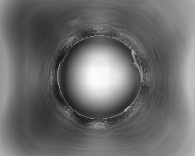 X0000087630756200705101027