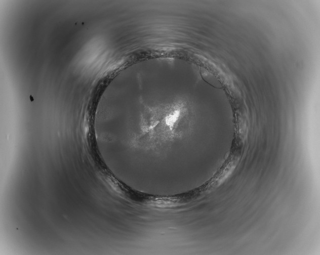 X0000087630758200705101027