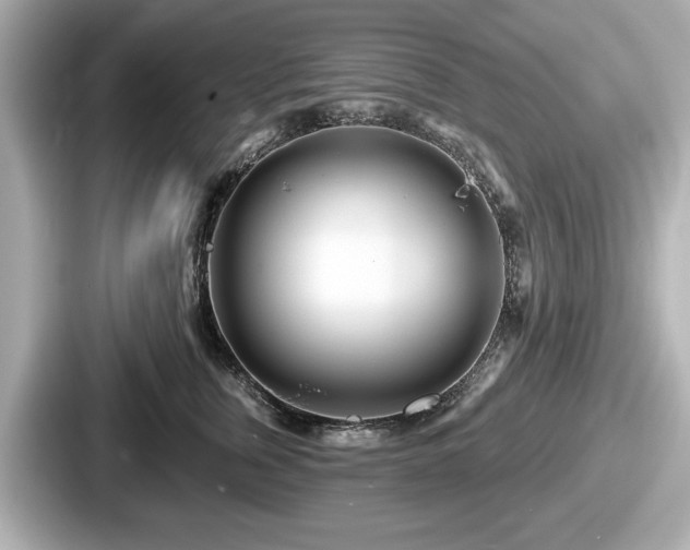 X0000087630759200705101027