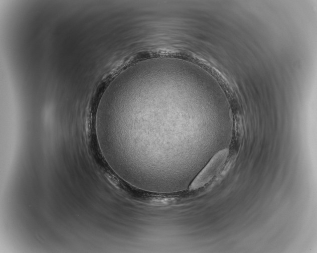 X0000087630760200705101027