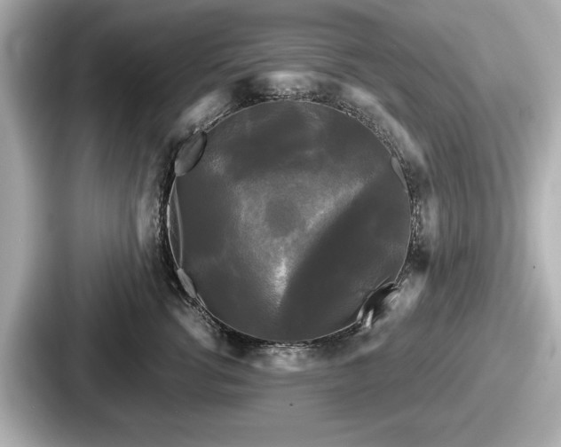 X0000087630762200705101027