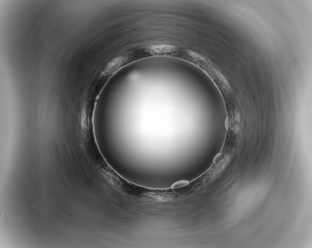 X0000087630763200705101027