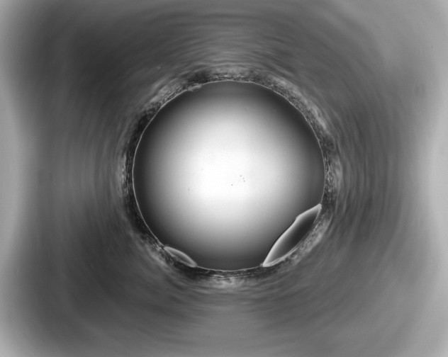 X0000087630764200705101027