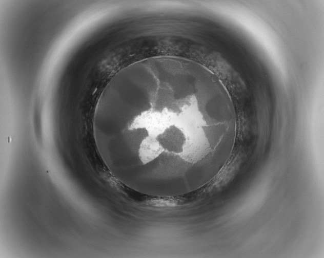 X0000087630765200705101027