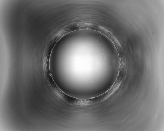 X0000087630767200705101027