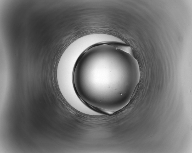 X0000087630768200705101027