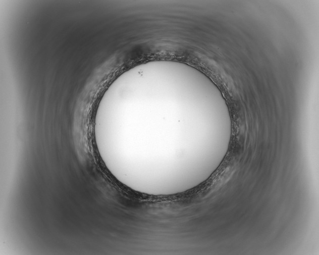 X0000087630769200705101027