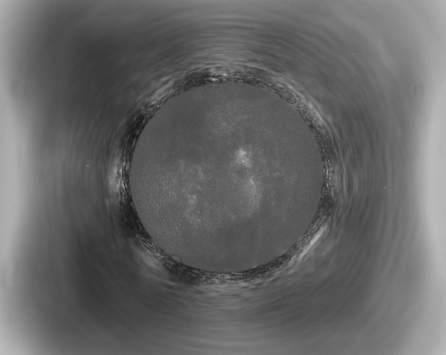 X0000087630770200705101027