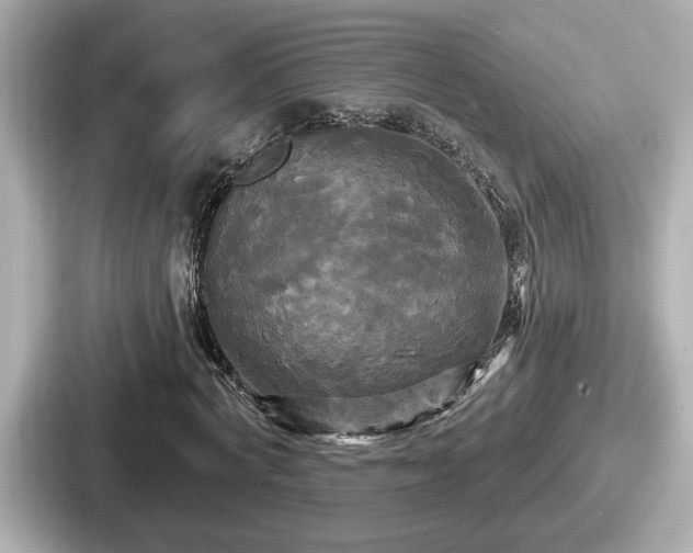 X0000087630772200705101027