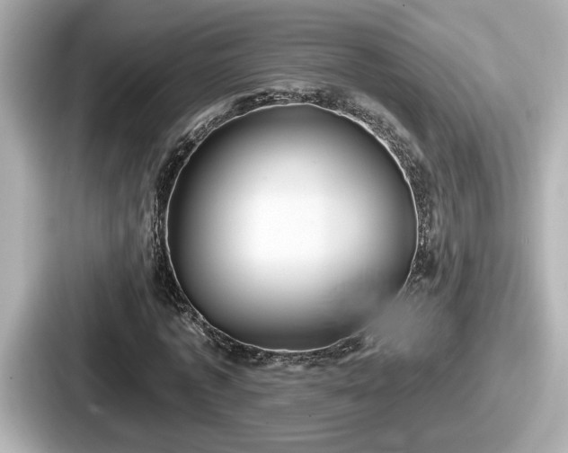 X0000087630773200705101027