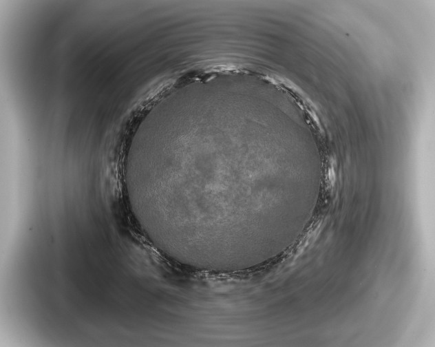 X0000087630774200705101027