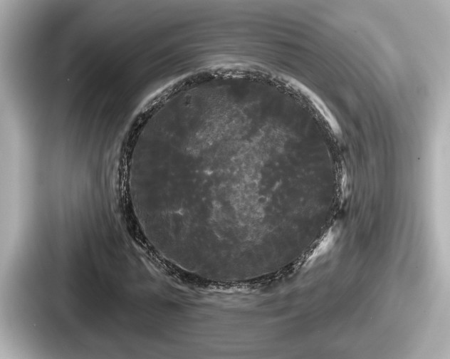 X0000087630775200705101027