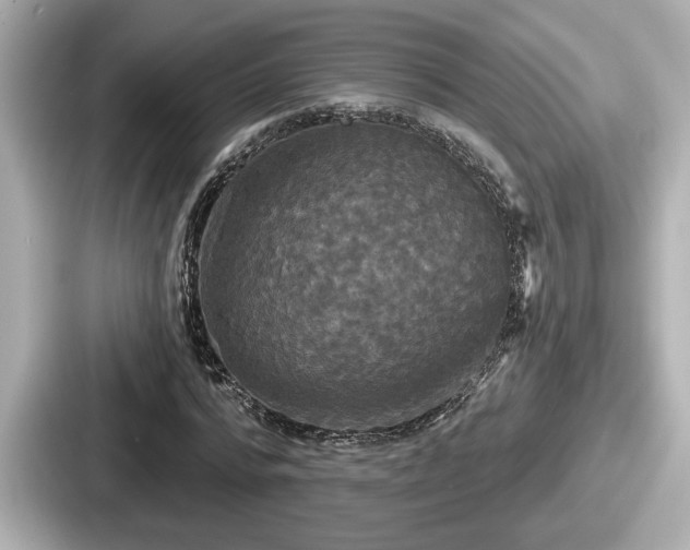 X0000087630776200705101027