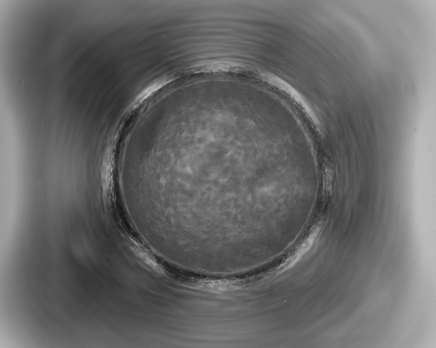 X0000087630778200705101027