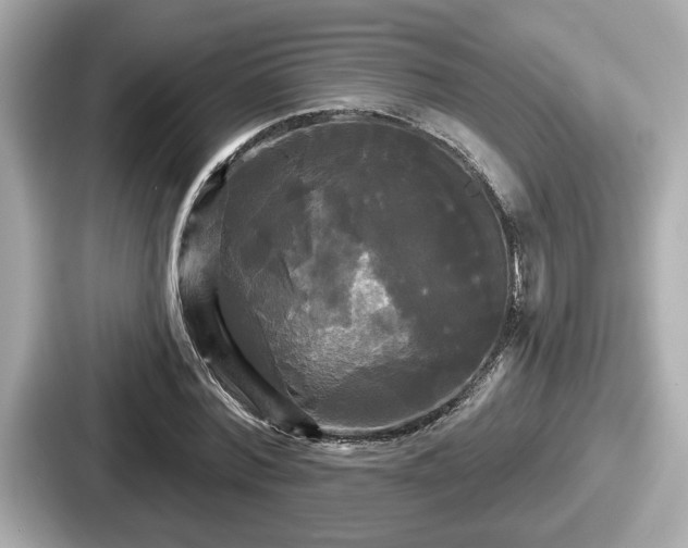 X0000087630780200705101027